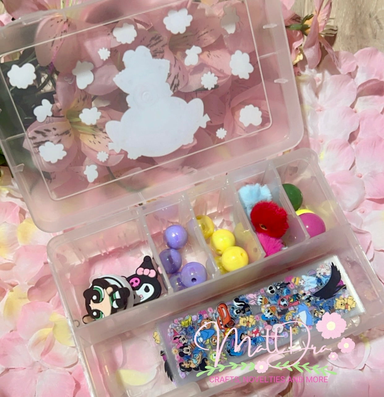 Clear Storage Case small 6”x4”x2”