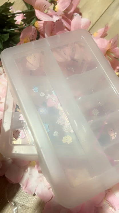 Clear Storage Case small 6”x4”x2”